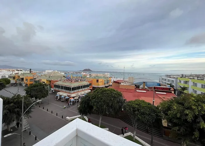 Avenida
